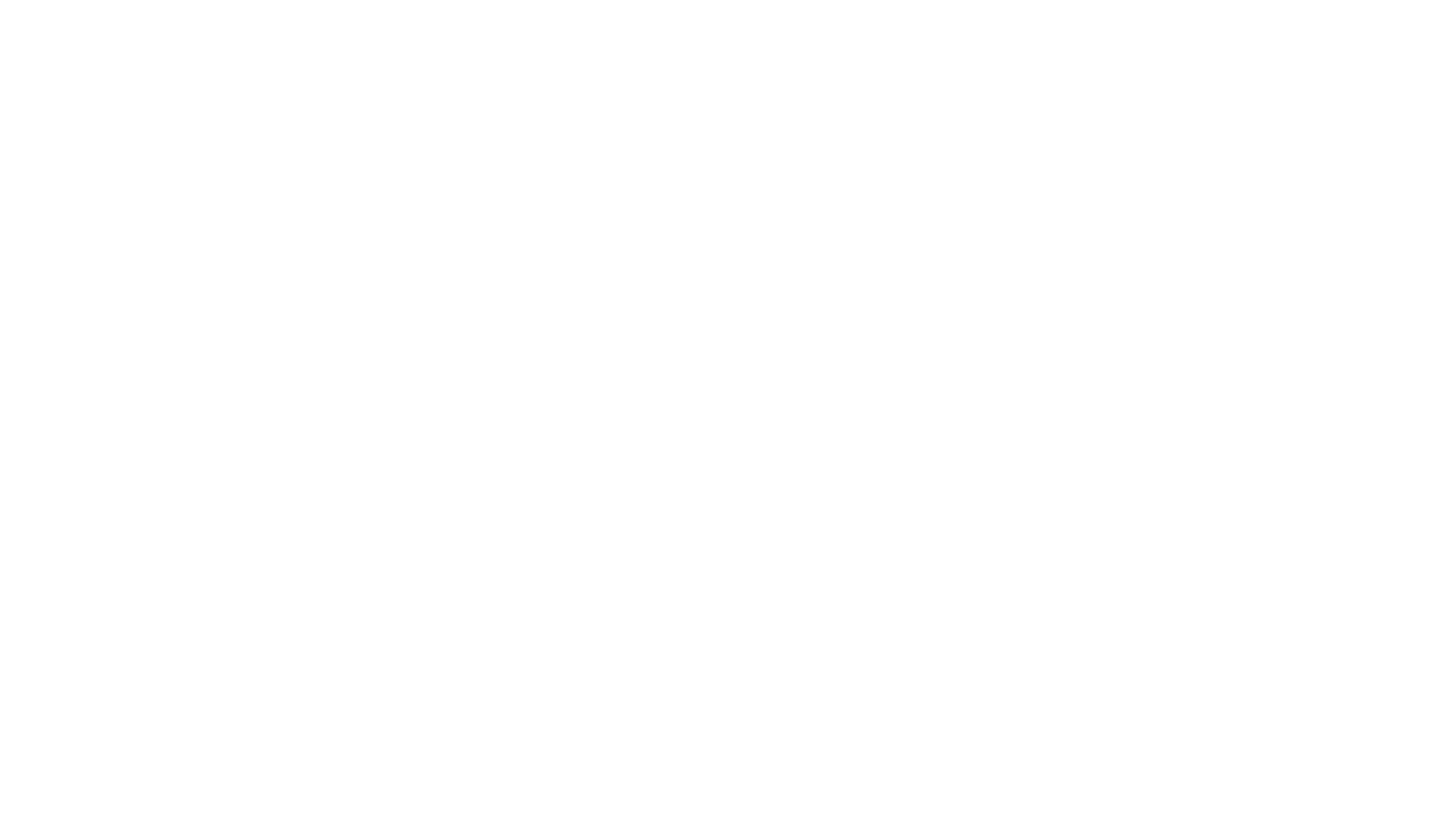 Merak.Foundation Logo